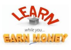 Earn Daily with Your Online Biz!